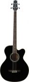 EGB25BK VIOLÃO TAKAMINE